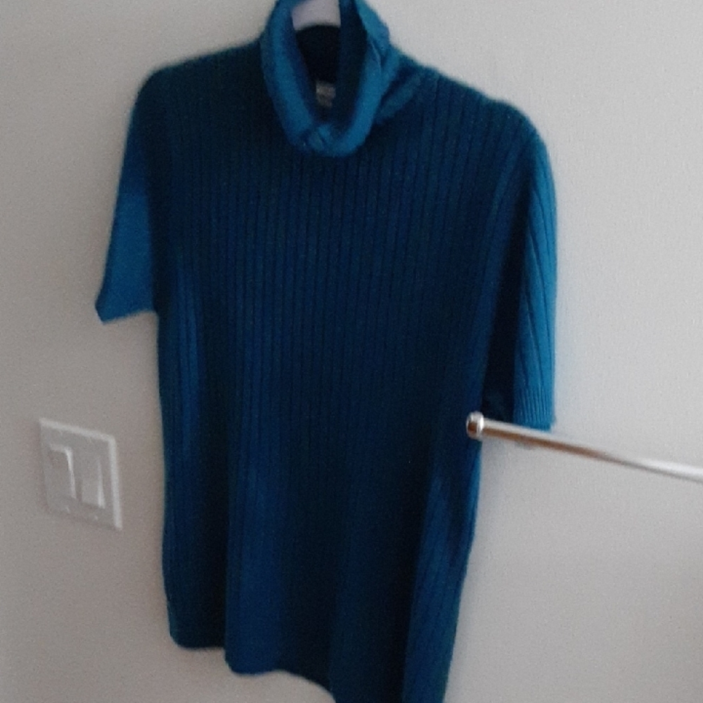 Blue Turtleneck Sweater